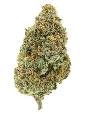 BC Organic Plumz 28g Dried Flower – Simply Bare | Montrose