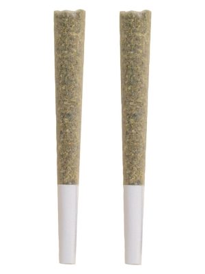 Black Label Pre-Rolls 2 Pack (2x1g) - The Republic | Montrose