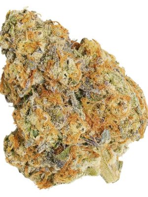 Morning Sun 7g Dried Flower – Qwest | Montrose Cannabis