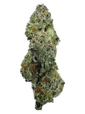 Montrose Cannabis