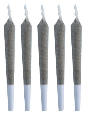 Cosmic Cookies Pre-Rolls 5x0.5g – Truro Pre-Rolls | Montrose Cannabis