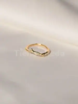 Anillo AD D3