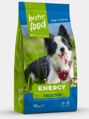 Sausas maistas šunims Besterfood Energy su jautiena (10 kg)