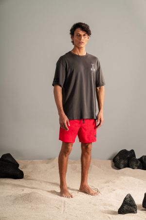 CAMISETA HOLGADA MANDÍBULA GRIS