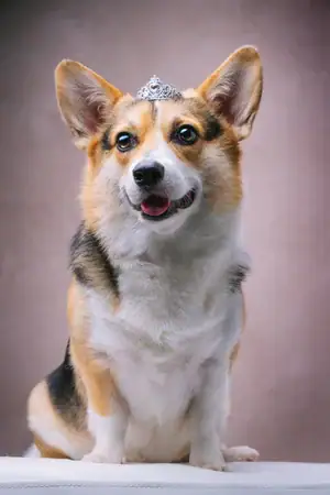 furtographed4