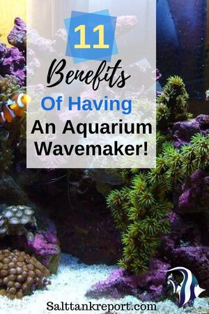 benefits of having an aquarium wavemaker
