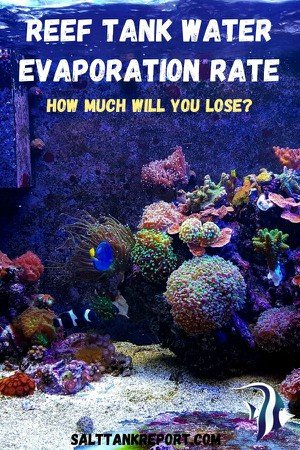 reef tank water evaporation