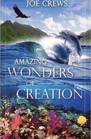 Amazing Wonders of Creation