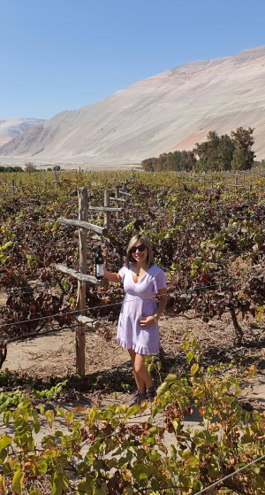 Malka enjoying the Winter sunshine at the Majes Tradicion winery