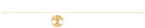 Ivy World Play School footer logo