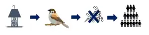 How to Prevent West Nile Virus in Birds
