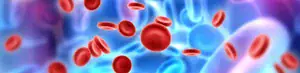 red blood cells