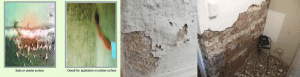 imageonline-co-merged-image