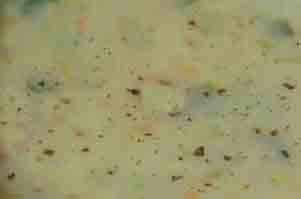 millet-soup recipe