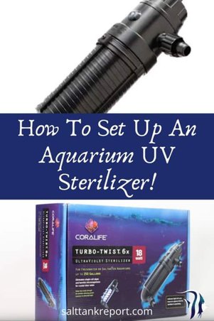 How To Set Up An Aquarium UV Sterilizer 