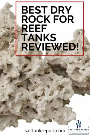 Best Dry Rock For Reef Tanks Price And Quality Reviewed