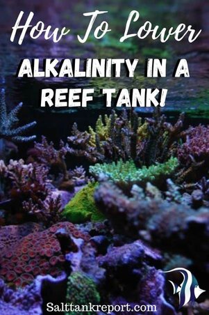 how to lower alkalinity in a reef tank