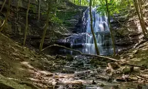dcreek2
