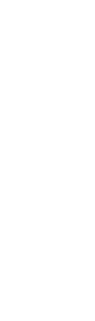 main text w