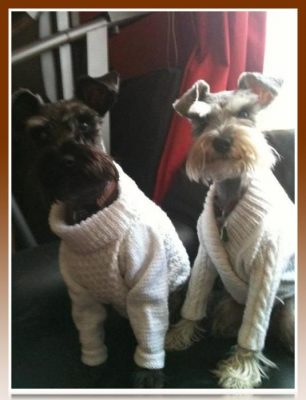 chompa para esnauser