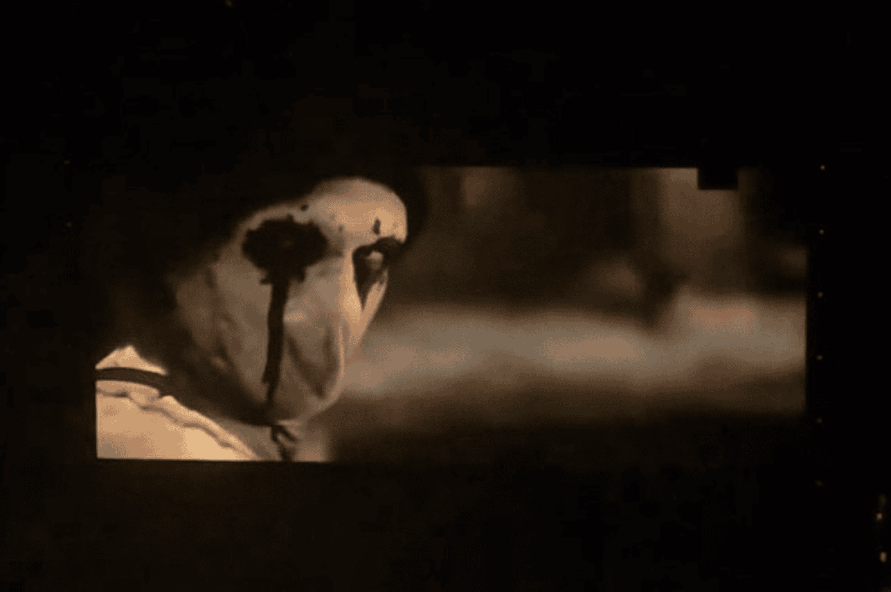 Copia-de-corpotgmimage4k-5-1 D23 2024: Cobertura primeiro dia do evento