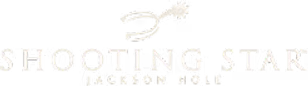 Logo - Shooting star