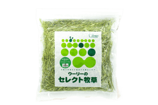 カナダティモシー