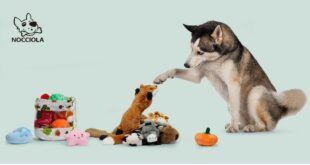 The ultimate squeaky delight for your dog is the Nocciola Durable Dog Toy Pack.