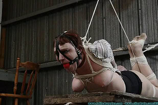 Welcome Back Hogtie for Mystic Moon – Part 3