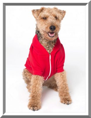 sweaters para perros pequeños