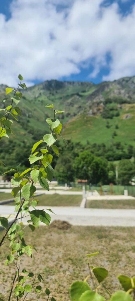 Camping en Asturias y montañas