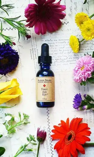 Advanced Flower Remedies courses at The School of Natural Health Sciences