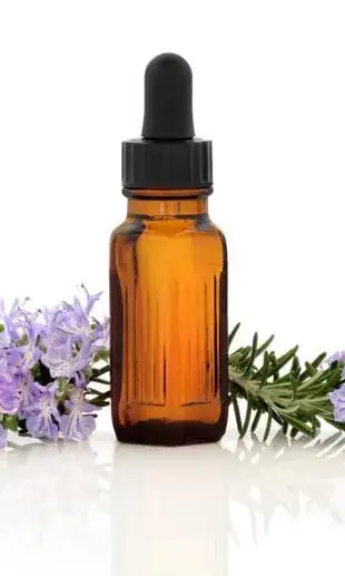 Flower Remedies Courses at The School of Natural Health Sciences