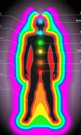 snhs Aura & Chakra Healing Course