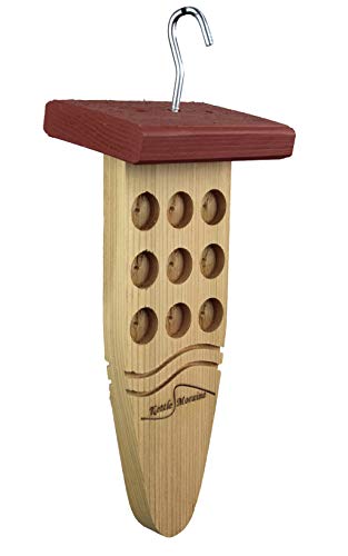 Pine Cone Bird Feeders With Peanut Butter