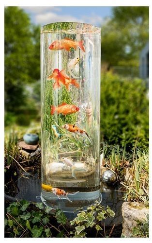 خلفيات احواض سمك.