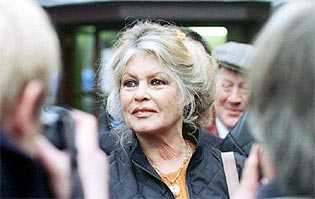 Porcherie d'Ossun, ce que Brigitte Bardot a écrit au Préfet