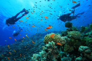 Submarinismo Costa Dorada Diving