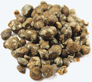 buy magic truffles, bluey vuitton mushroom, dmt vape pens for sale​,iboga costa rica,ketamine troche,dose for a lsd trip nyt .