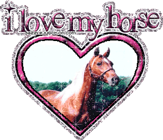 i-love-my-horse-1