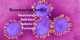 Covit19 Hakkında Bilmemiz Gerekenler