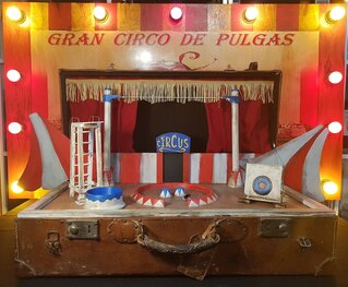El Gran Circo de Pulgas Amaestradas - Exclusivo Tienda Trucos Magia