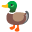 🦆