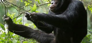 Best Weekend Getaways from Kigali