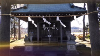 Leica SOFORT 2（ゾフォート2）レビュー[実写編]