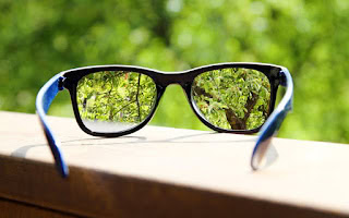 eyeglasses in the hand over blurred tree background