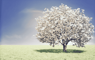 Cómo presupuestar mejor