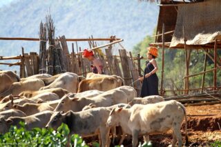 Inle