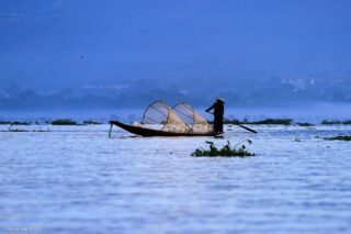 Inle