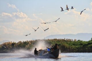 Inle